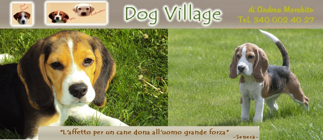 DogVillage Ferrera di Varese